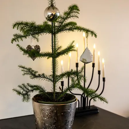 Snow White Ii With Sauna Апартаменты